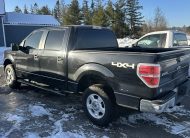 FORD F-150 XLT SUPERCREW